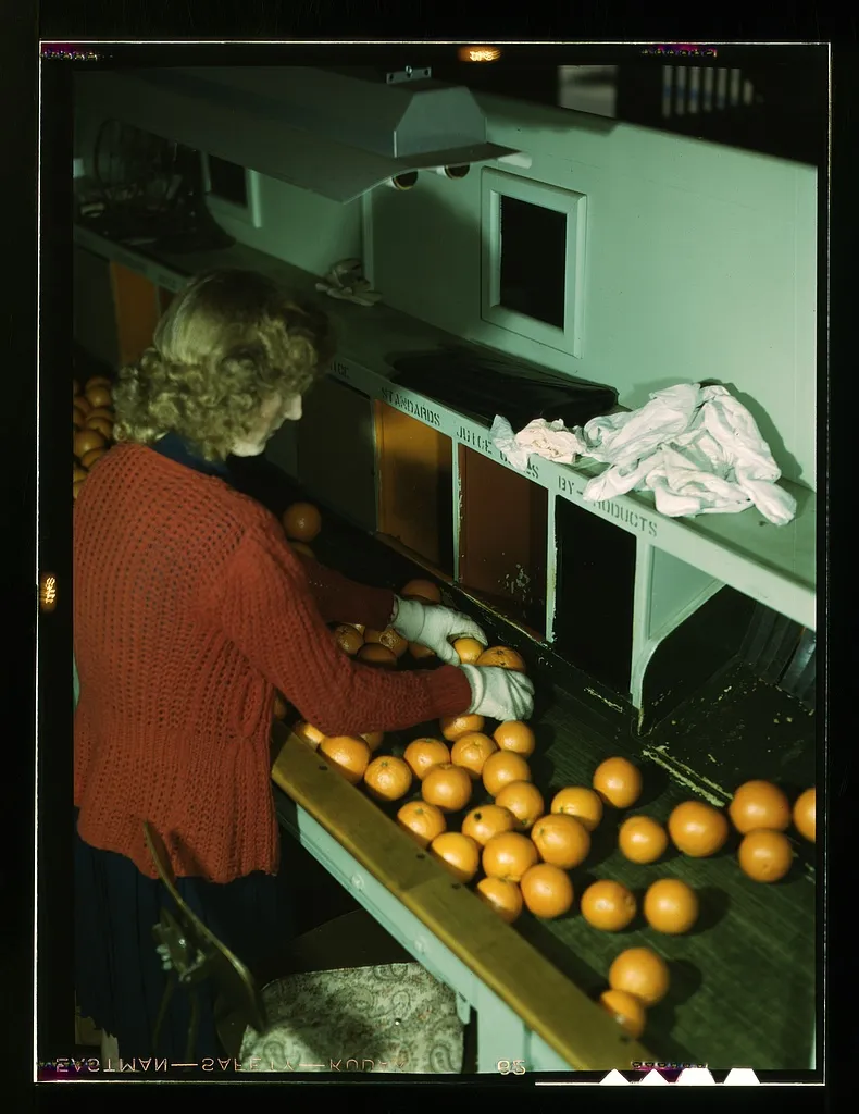 Chromatic Conviction: What a Photographer's Color Choices Say About the World They See